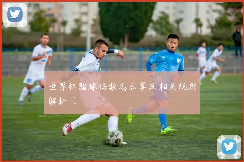 世界杯赌球倍数怎么算及相关规则解析_1