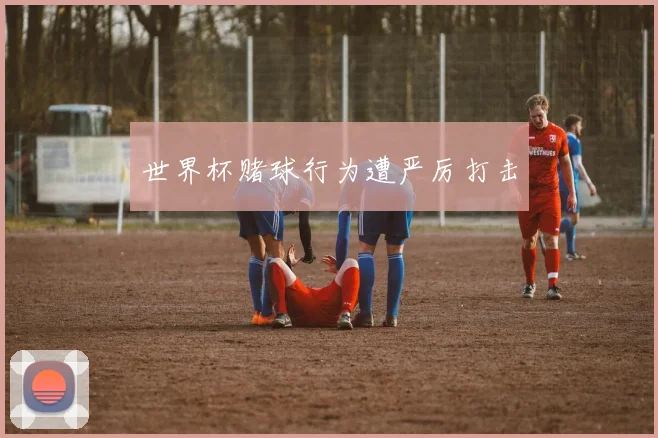 世界杯赌球行为遭严厉打击