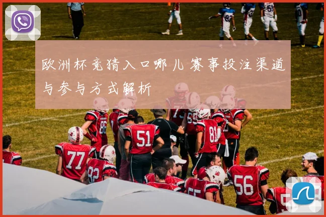 欧洲杯竞猜入口哪儿 赛事投注渠道与参与方式解析
