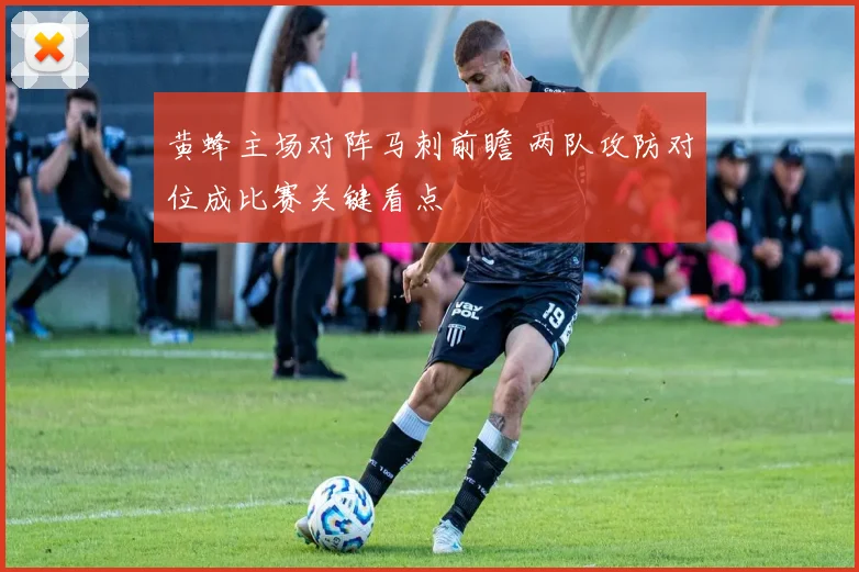 黄蜂主场对阵马刺前瞻 两队攻防对位成比赛关键看点